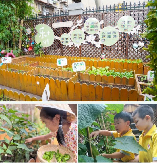 区北湖幼儿园抓牢关键阶段J9数字平台武汉市江汉
